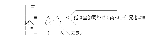 流石兄弟（弟者）「話は全部聞かせて貰ったぞ!!兄者よ!!!」
